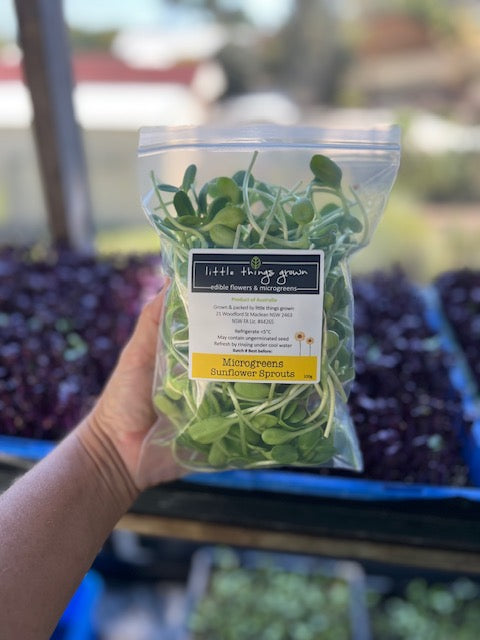 Sunflower Microgreens