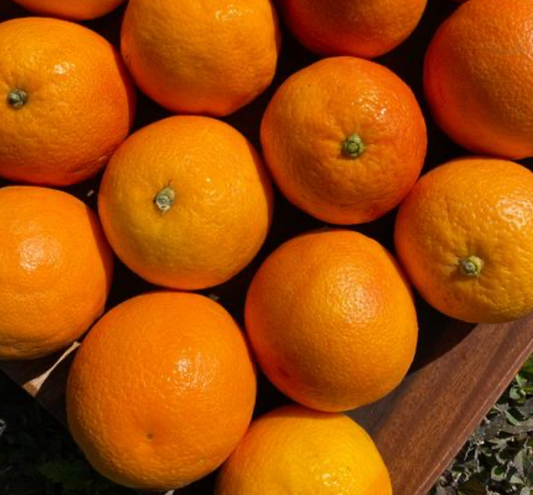 Oranges 1KG - Spray Free & Local