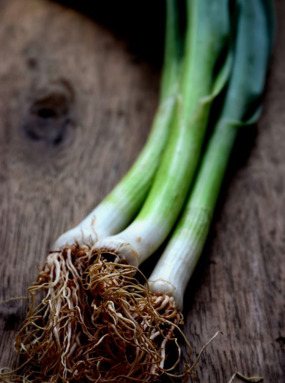 Spring Onions - Local Grown