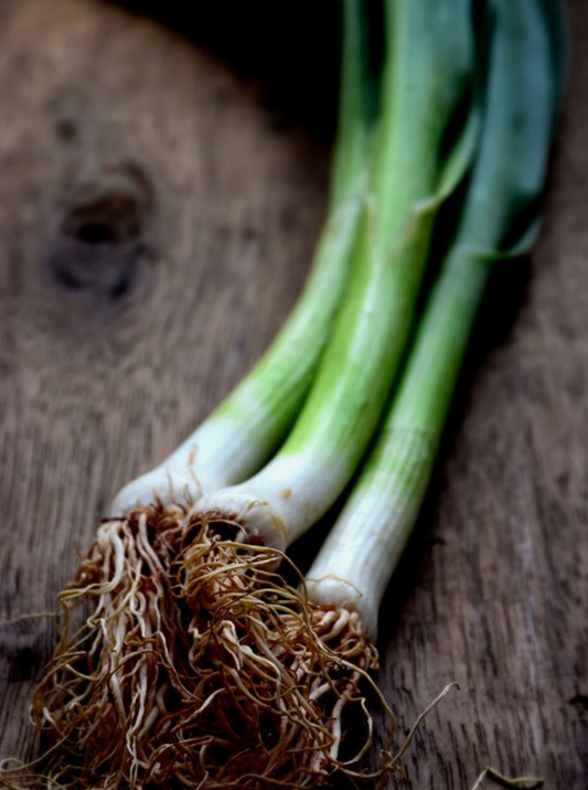 Spring Onions - Local Grown