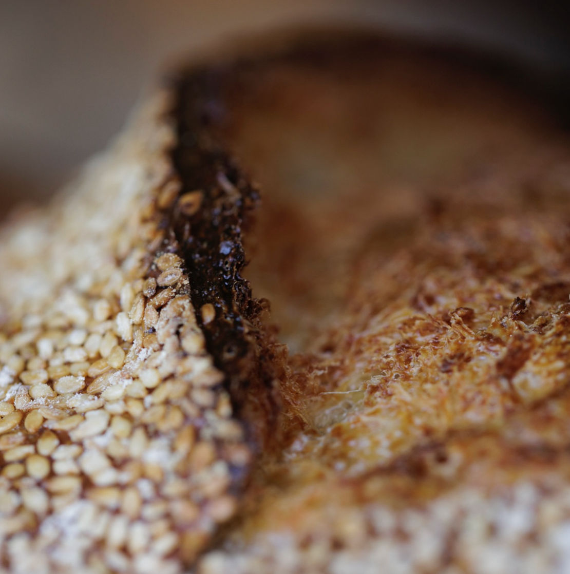 Madre Sourdough Country White Loaf