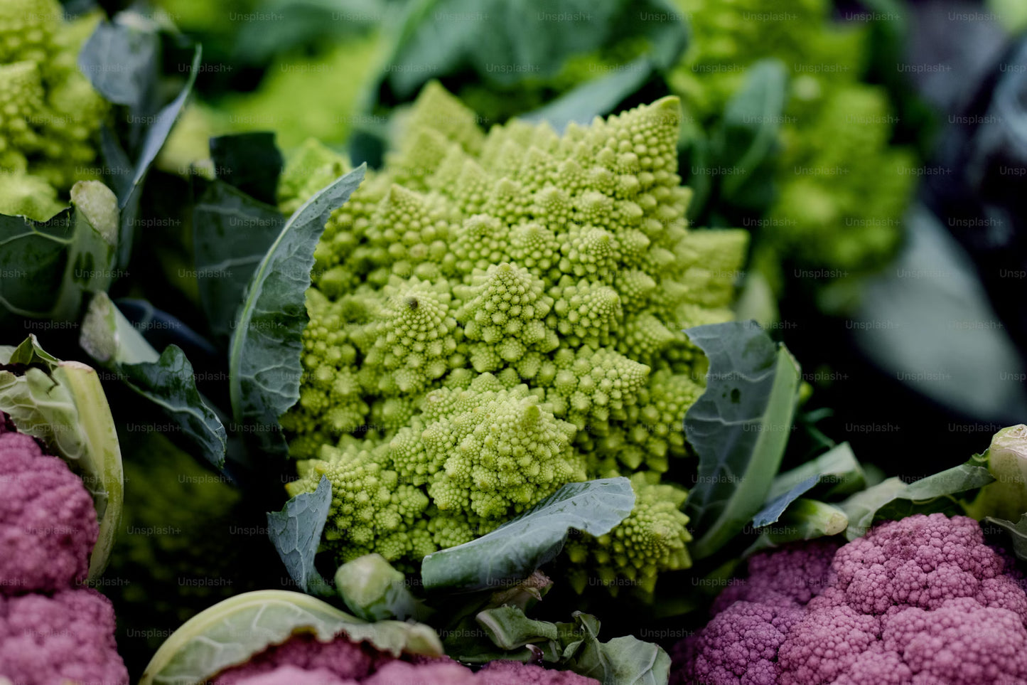 Cauliflower Romanesco (Whole) - Certified Organic