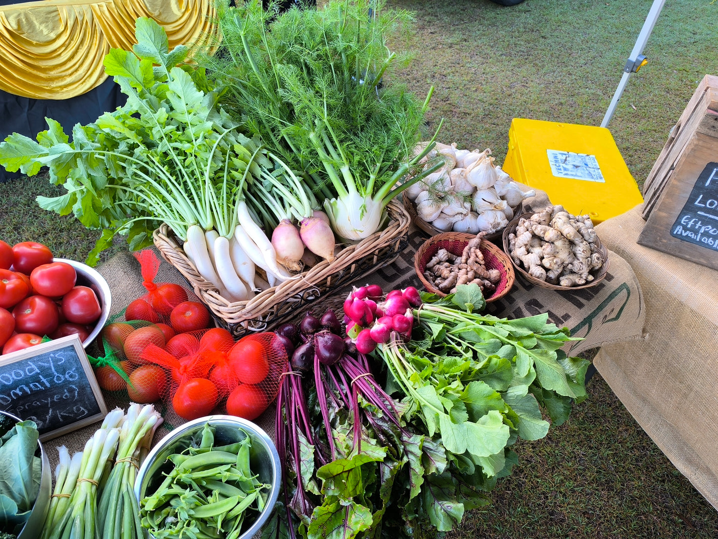 Spring Ferments Workshop & Farm Tour | 20 September | Pigface Farm x CVO