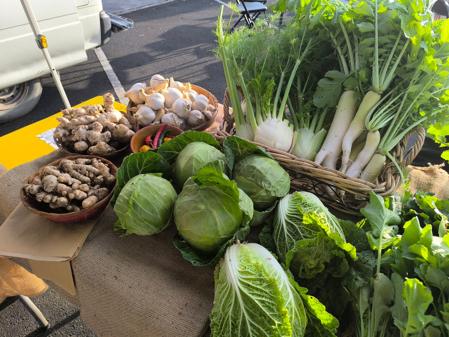 Spring Ferments Workshop & Farm Tour | 20 September | Pigface Farm x CVO