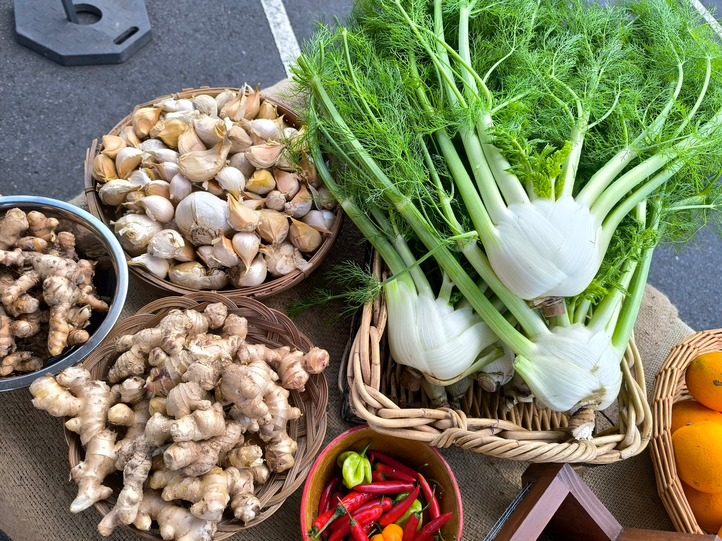 Spring Ferments Workshop & Farm Tour | 20 September | Pigface Farm x CVO