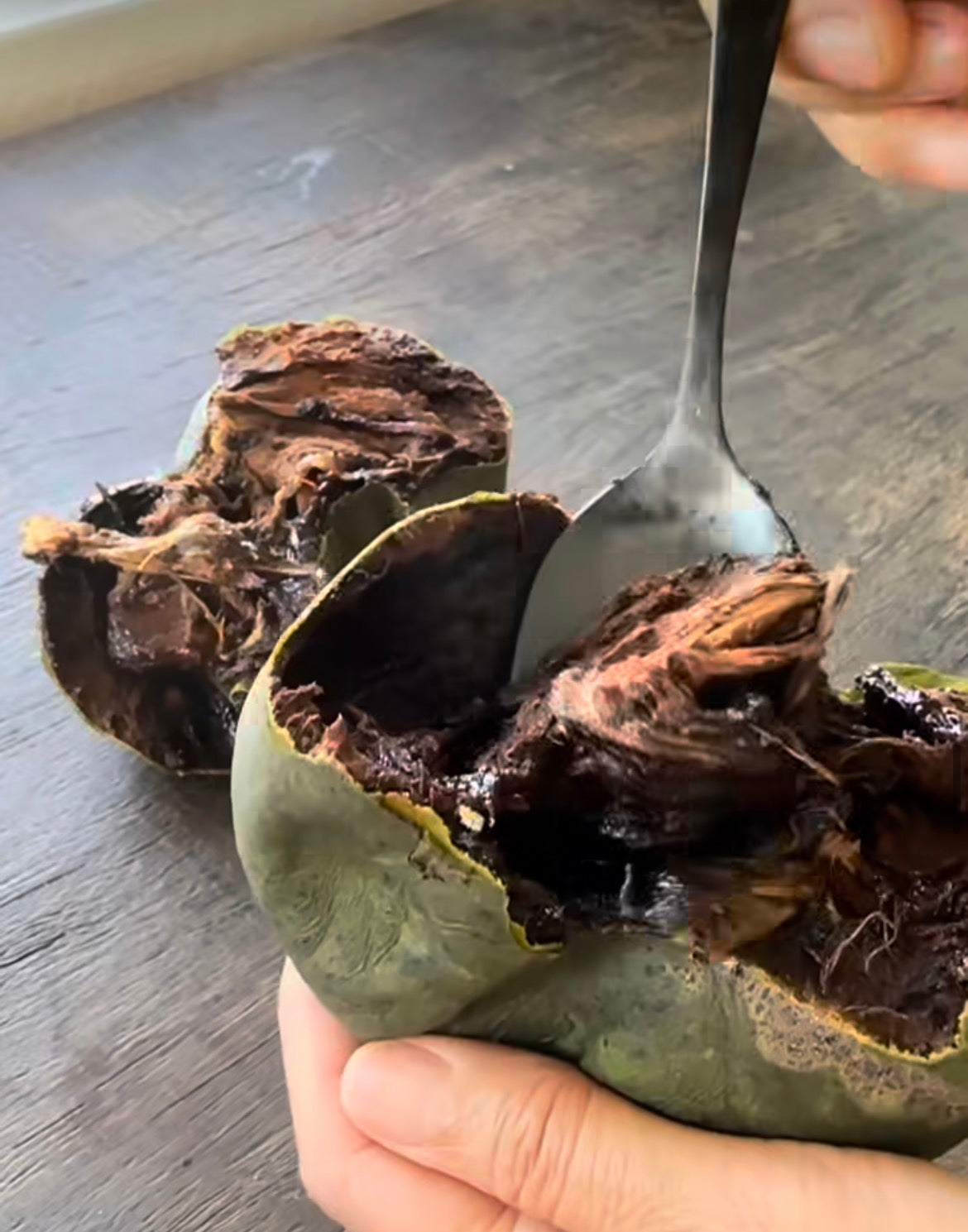 Black Sapote (Chocolate Pudding Fruit) - Certified Organic