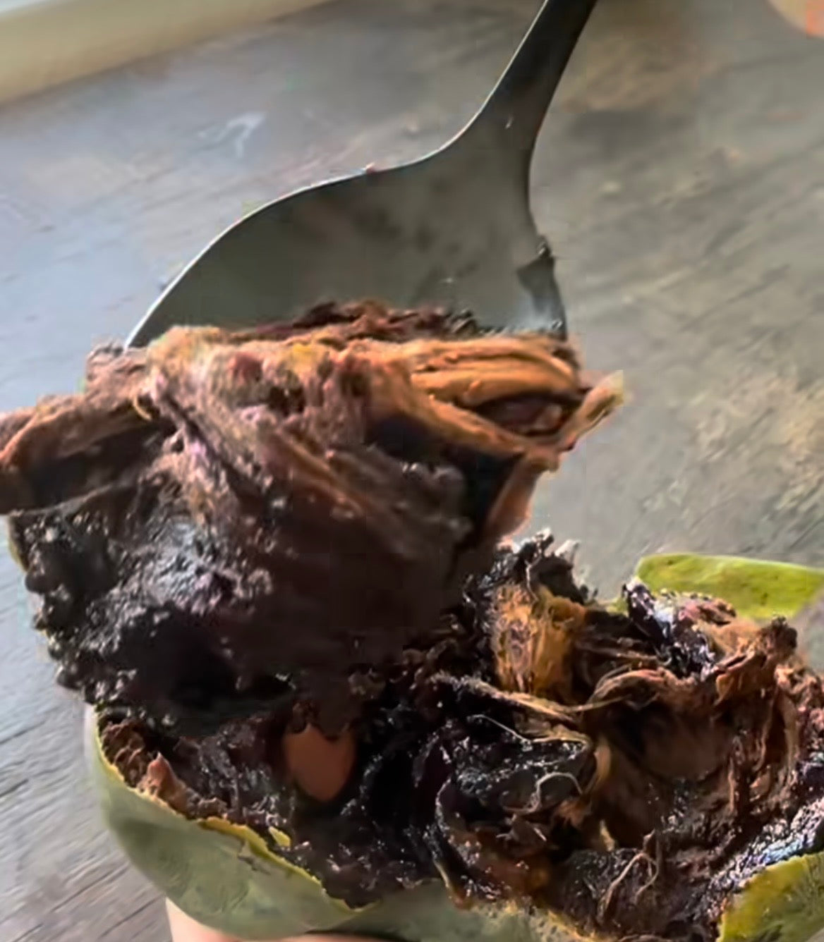 Black Sapote (Chocolate Pudding Fruit) - Certified Organic