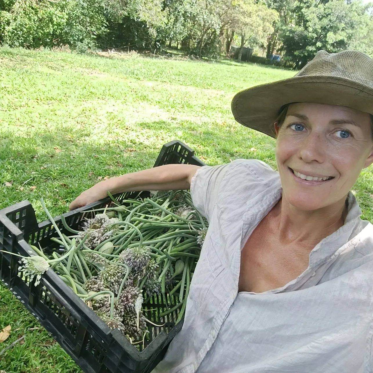 Autumn Immunity Workshop & Farm Tour | Pigface Farm x Clarence Valley Organics