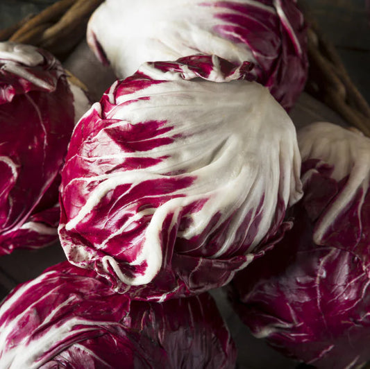Certified Organic Radicchio (Whole head)