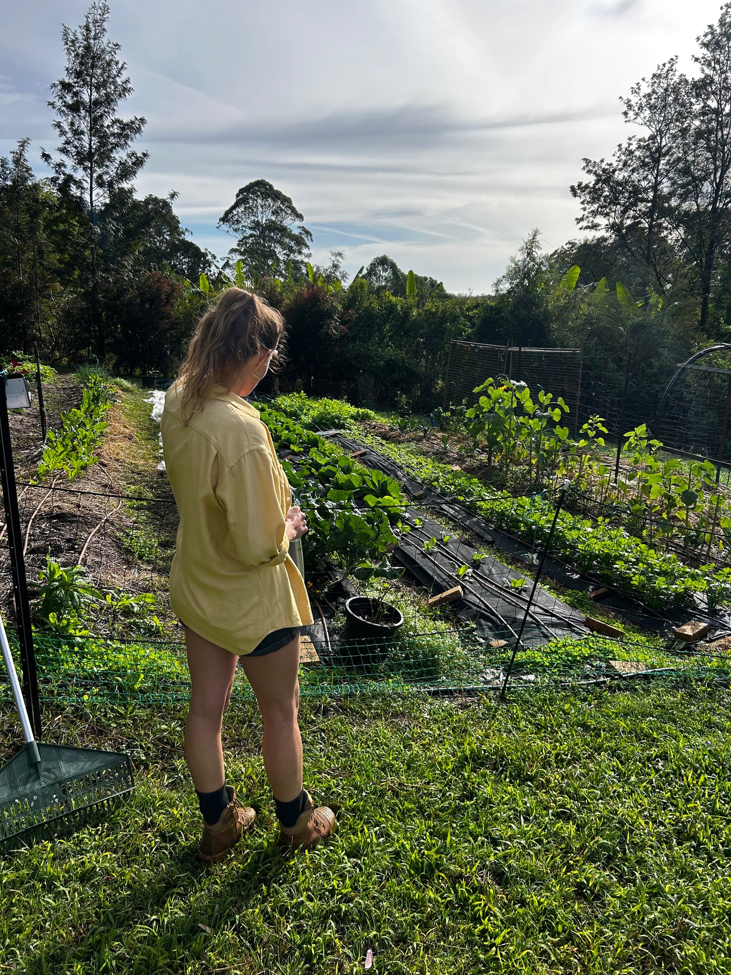 Immunity Workshop & Farm Tour | 12 July 2026 | Pigface Farm x CVO