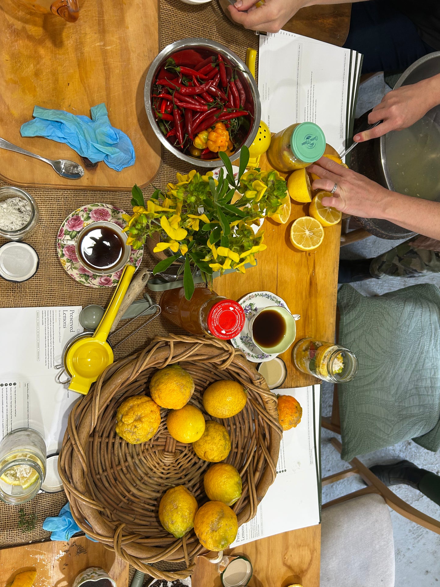 Immunity Workshop & Farm Tour | 12 July 2026 | Pigface Farm x CVO