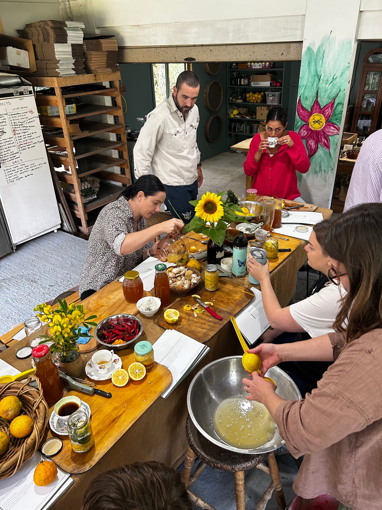 Immunity Workshop & Farm Tour | 12 July 2026 | Pigface Farm x CVO