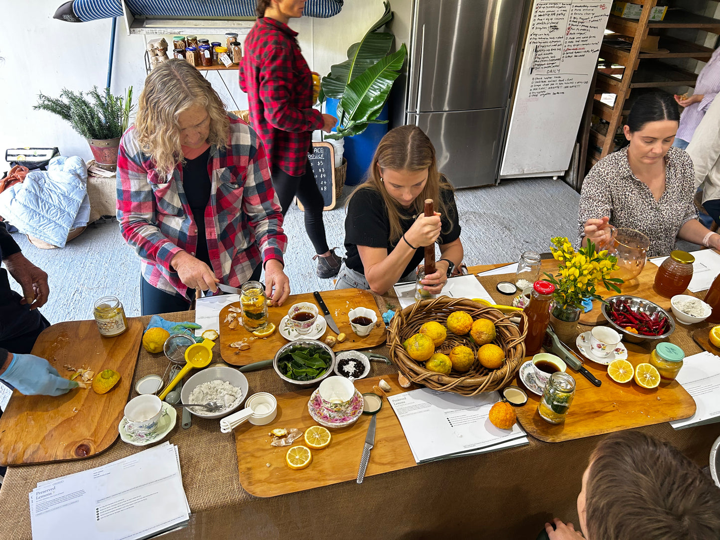 Immunity Workshop & Farm Tour | 12 July 2026 | Pigface Farm x CVO