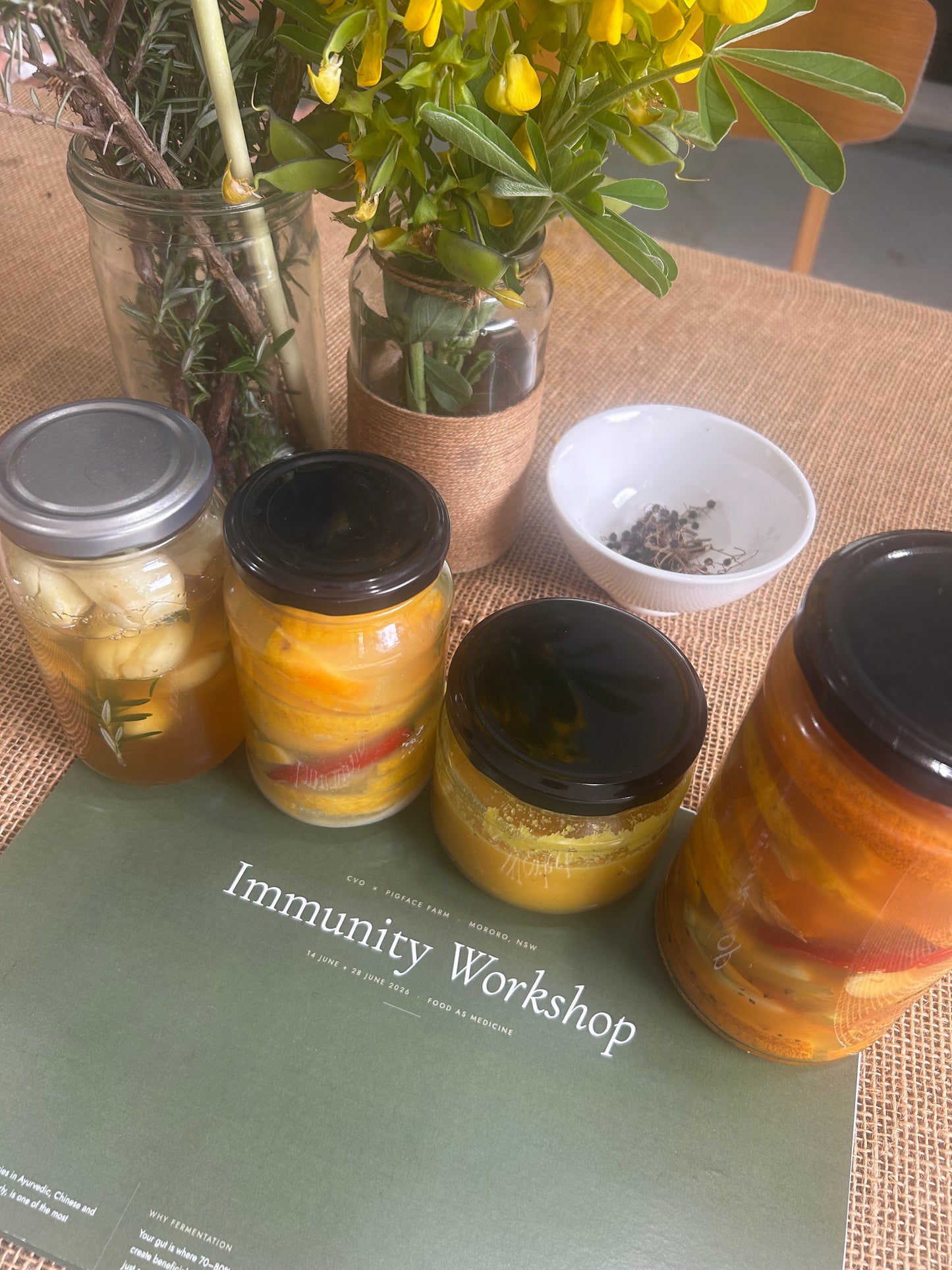 Immunity Workshop & Farm Tour | 12 July 2026 | Pigface Farm x CVO