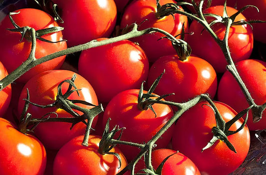 Tomatoes (Truss) 500g - Certified Organic