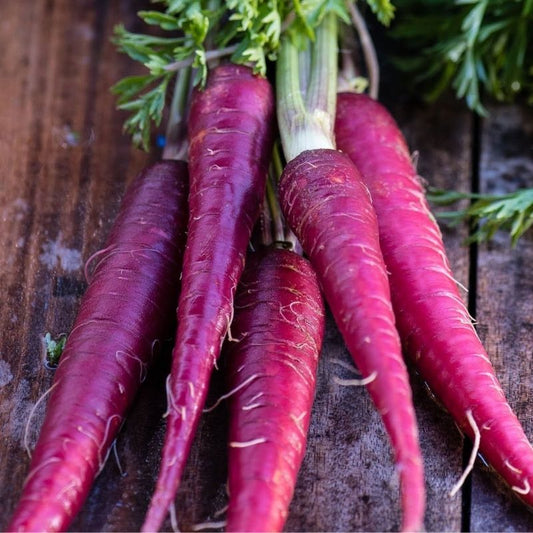 Carrots Purple - Certified Organic - 1kg