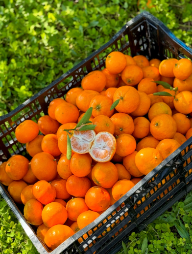 Mandarins - 1kg - Certified Organic