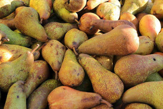 Pear Bosch - Local Grown
