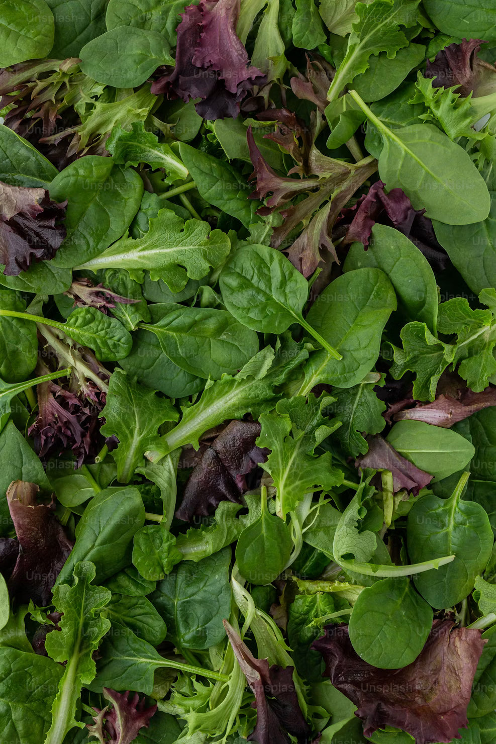 Salad Leaf Mix 120g - Certified Organic