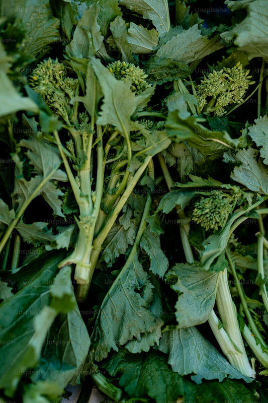 Broccolini (1 bunch) - Certified Organic